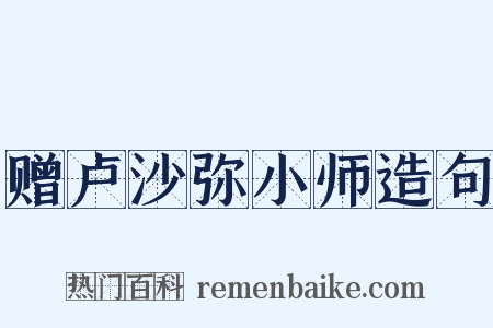 赠卢沙弥小师造句是什么意思的图片